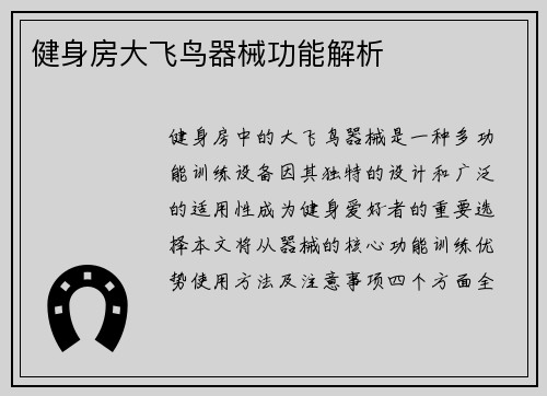 健身房大飞鸟器械功能解析